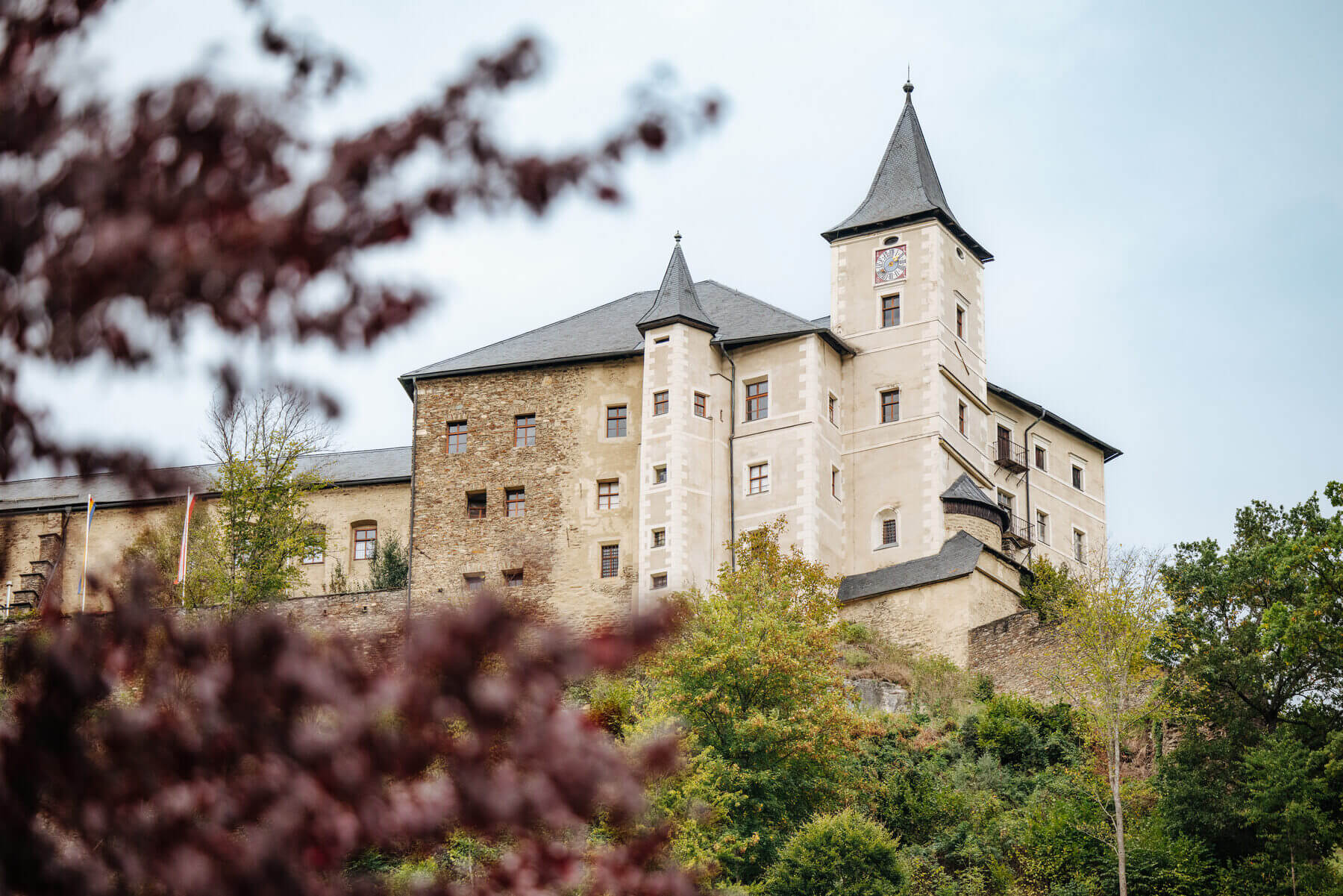 Burg Straßburg durch Bäume